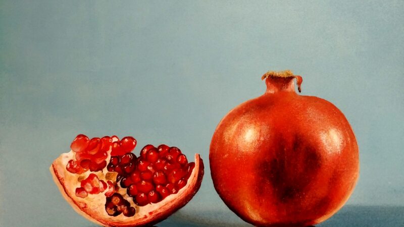UN MELOGRANO ED UN MELONE – Le mie ultime creazioni